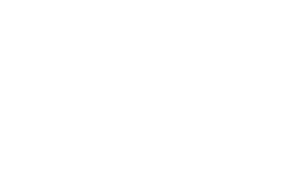 davided_photography_logo_bild_weiss